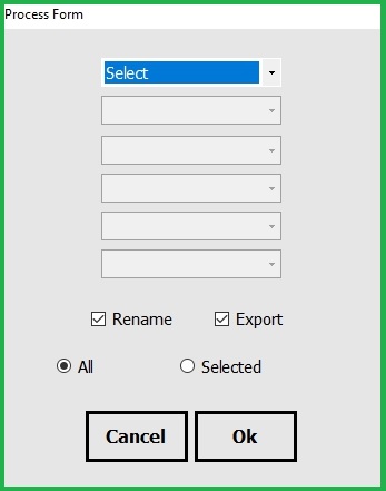 Selecting Export Options In BImageStudio