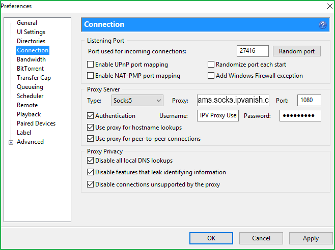 Configuring BitTorrent Client